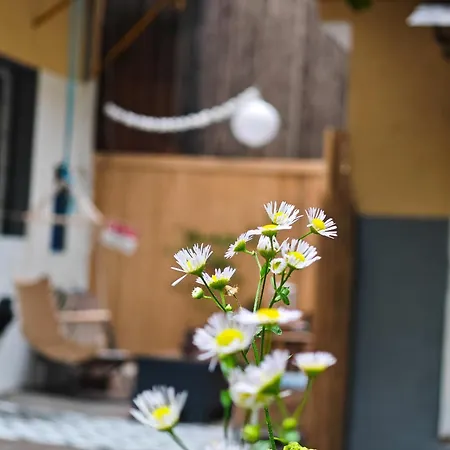 Fuji With Terrace In Centre * Братислава