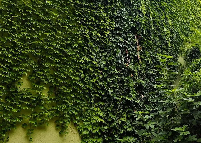 Fuji With Terrace In Centre *