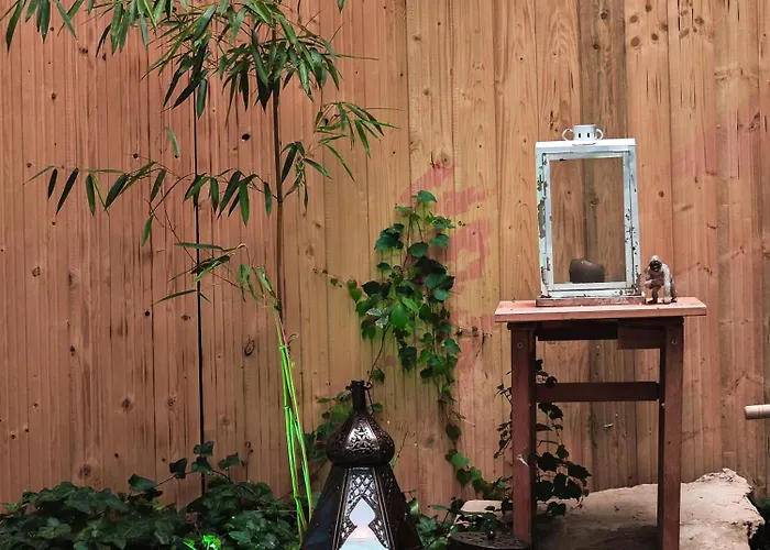 Fuji With Terrace In Centre