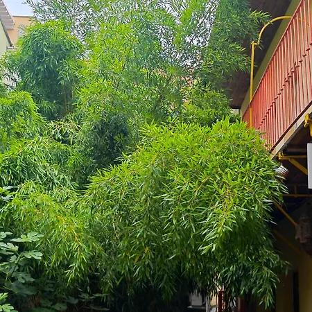 Apartamento Fuji With Terrace In Centre Bratislava