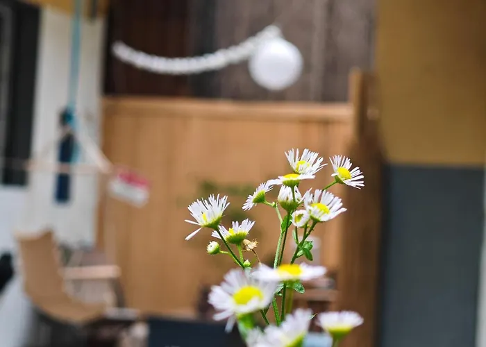 Fuji With Terrace In Centre * Bratislava