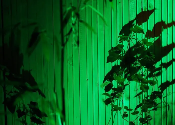 Apartamento Fuji With Terrace In Centre *