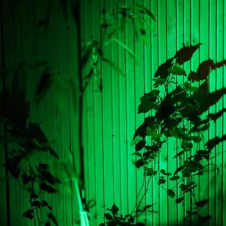 דירה Fuji With Terrace In Centre *