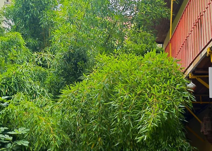 Lejlighed Fuji With Terrace In Centre Bratislava